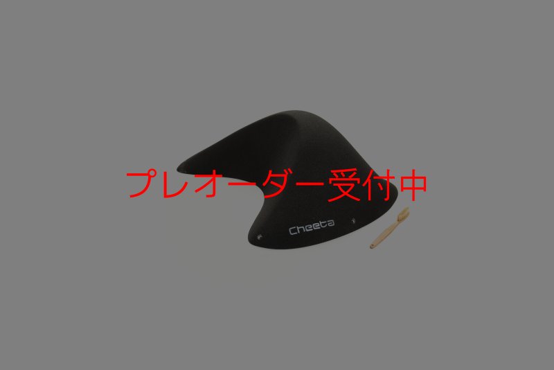 画像1: CT Taji Pinch 5/プレオーダー (1)