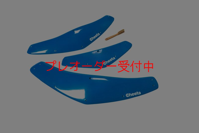 画像1: CT Boomerang 1 DT/プレオーダー (1)