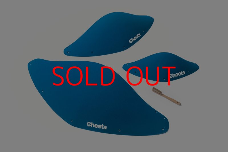 画像2: CT BoomJump 1 SML (2)