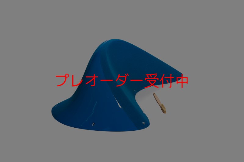 画像1: CT Taji Pinch 1 DT/プレオーダー (1)