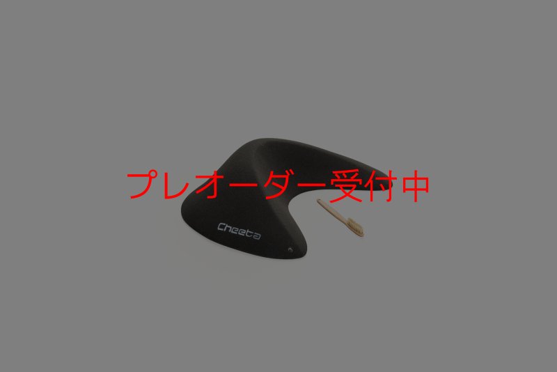 画像1: CT Taji Pinch 10/プレオーダー (1)