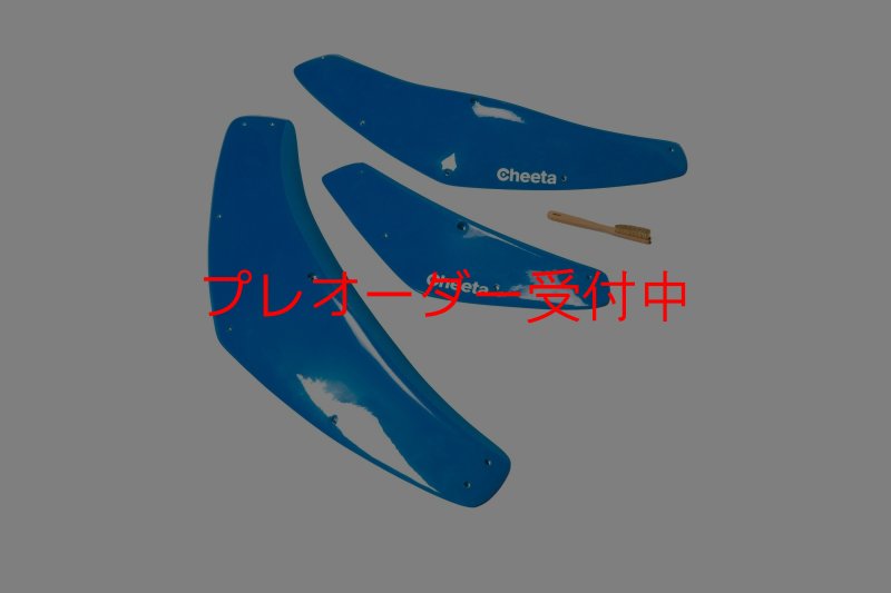 画像5: CT Boomerang 2 DT/プレオーダー (5)