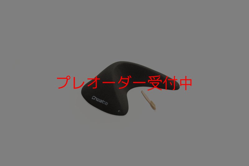 画像2: CT Taji Pinch 10/プレオーダー (2)