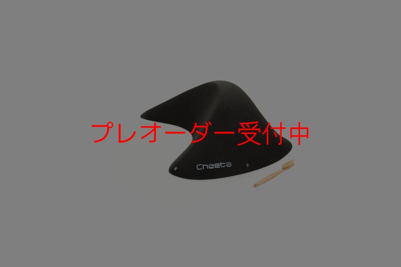 画像2: CT Taji Pinch 5/プレオーダー (2)