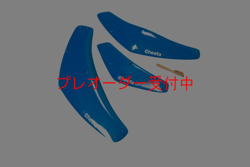 画像6: CT Boomerang 1 DT/プレオーダー (6)