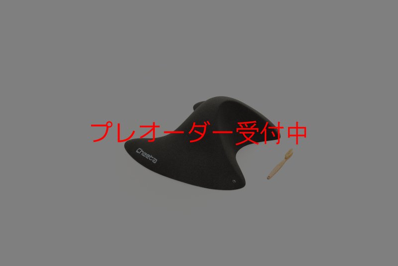 画像1: CT Taji Pinch 6/プレオーダー (1)