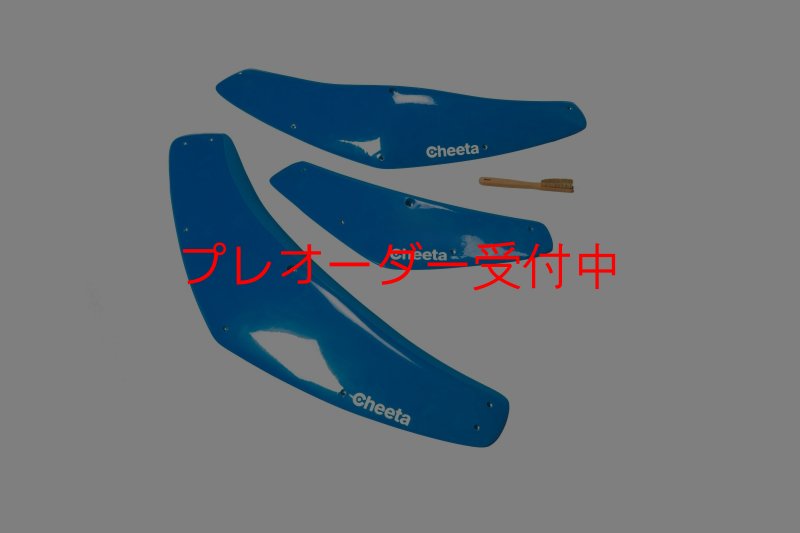 画像4: CT Boomerang 2 DT/プレオーダー (4)
