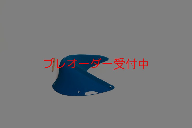 画像6: CT Taji Pinch 10 DT/プレオーダー (6)