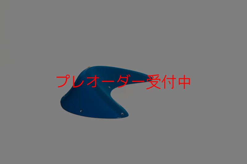 画像8: CT Taji Pinch 10 DT/プレオーダー (8)