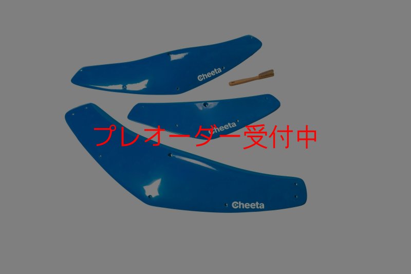画像2: CT Boomerang 1 DT/プレオーダー (2)