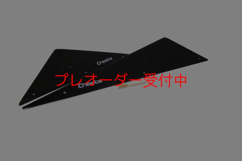 画像2: CT  Starwoods 3/プレオーダー (2)