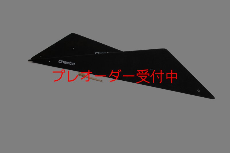 画像6: CT  Starwoods 3/プレオーダー (6)