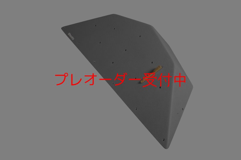 画像1: CT  Ball L2/プレオーダー (1)