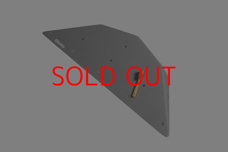 画像9: CT  Ball M3 (9)