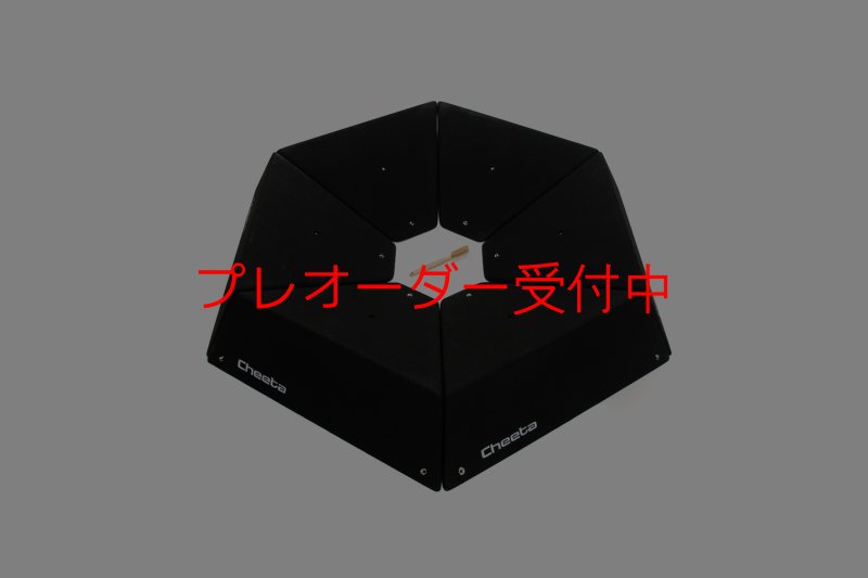 画像1: CT  Starwoods 6/プレオーダー (1)