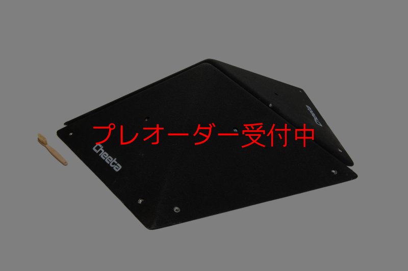 画像6: CT  Pentagon L/プレオーダー (6)