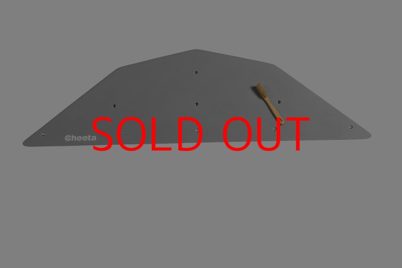 画像5: CT  Ball M3 (5)