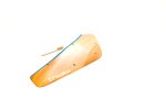 画像4: CT  Wooden boomerangs 5　プレオーダー (4)