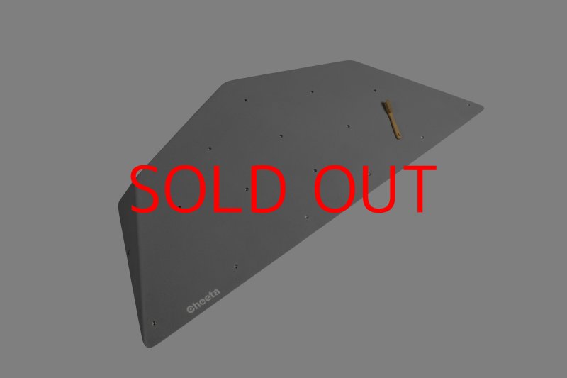 画像24: CT  Ball L1 (24)