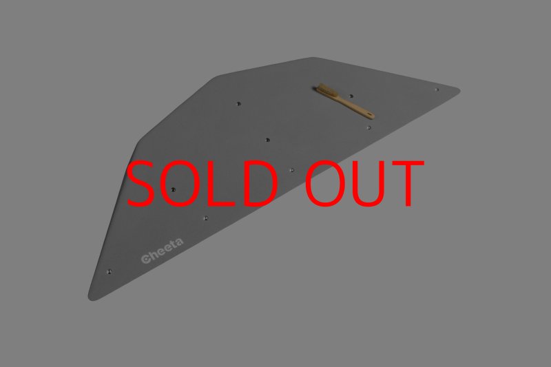 画像2: CT  Ball M3 (2)