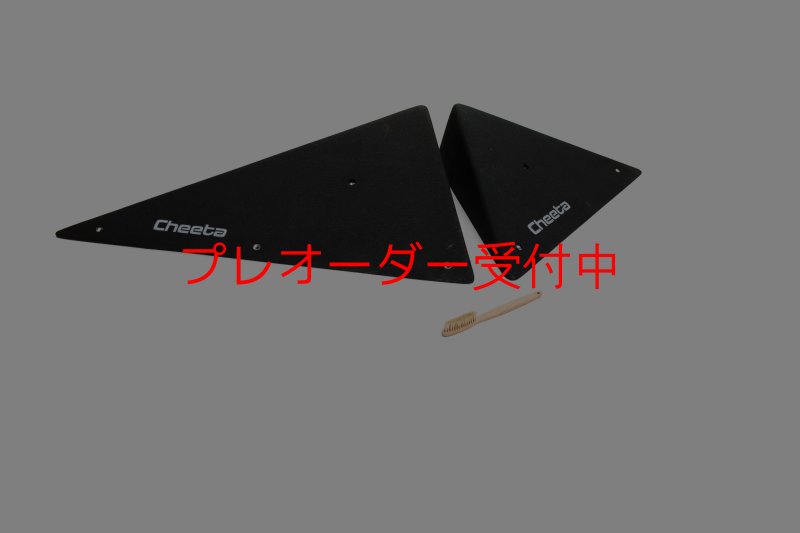 画像1: CT  Starwoods 1/プレオーダー (1)