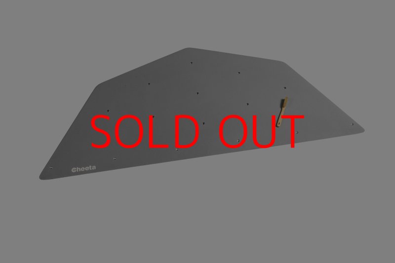 画像27: CT  Ball L1 (27)