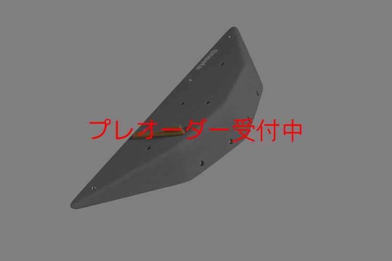 画像6: CT  Ball S4/プレオーダー (6)