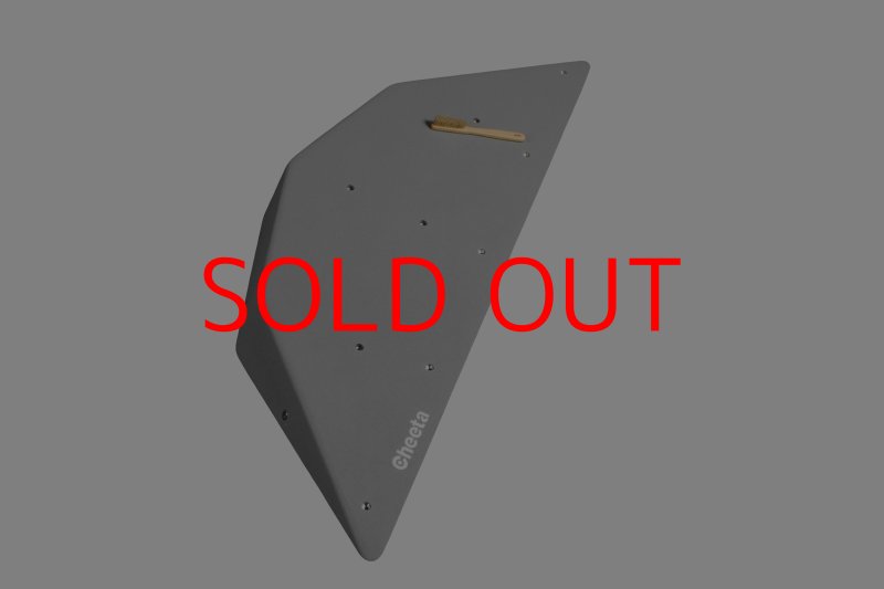 画像29: CT  Ball M3 (29)