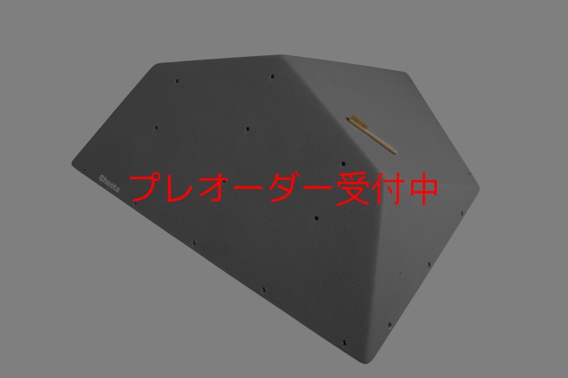 画像1: CT  Ball M5/プレオーダー (1)