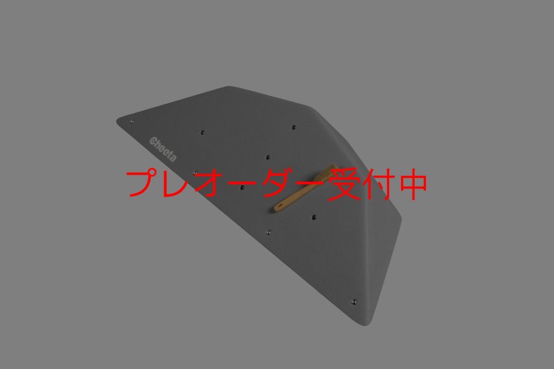 画像1: CT  Ball S2/プレオーダー (1)