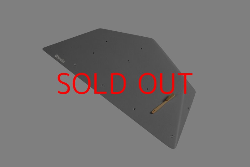 画像9: CT  Ball M1 (9)