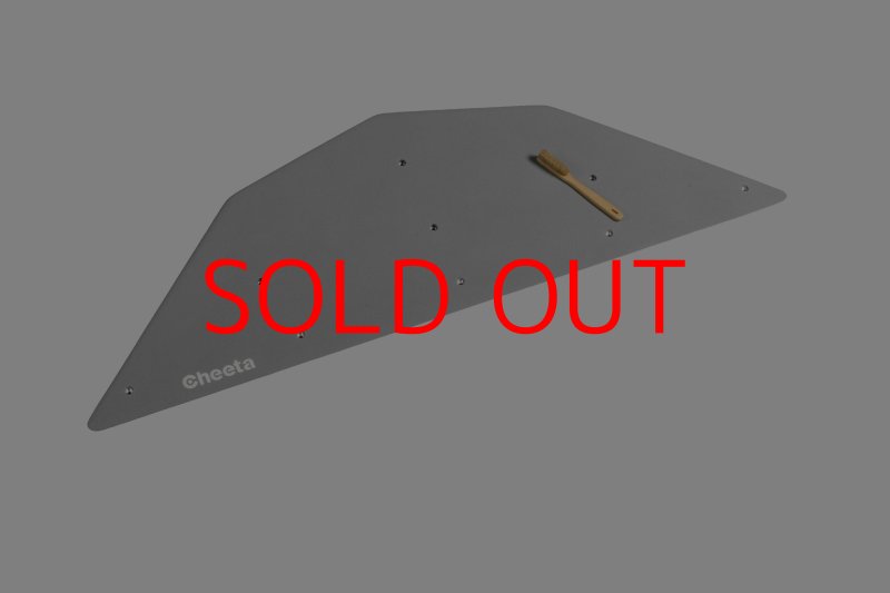 画像3: CT  Ball M3 (3)