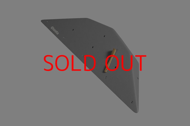 画像10: CT  Ball M4 (10)