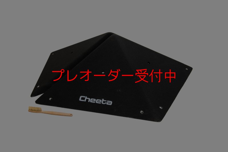 画像3: CT  Pentagon L/プレオーダー (3)