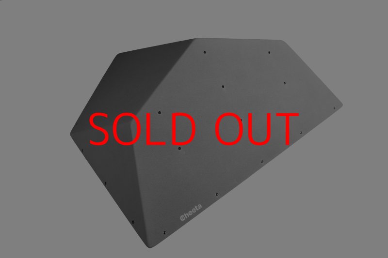 画像24: CT  Ball M5 (24)