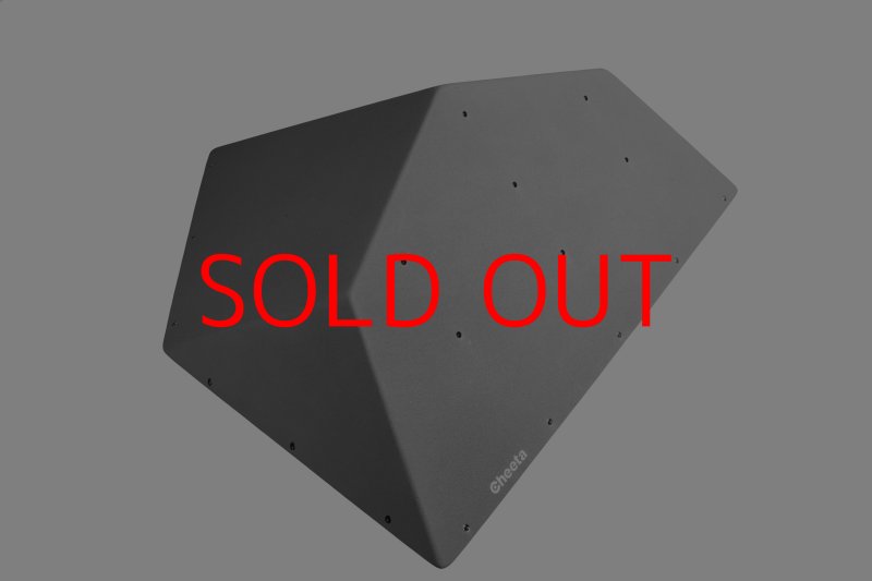 画像23: CT  Ball M5 (23)