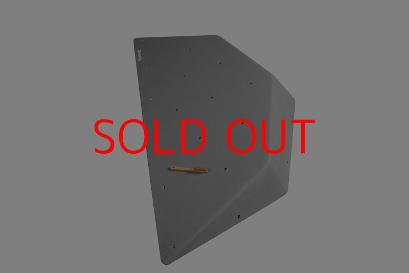 画像4: CT  Ball L1 (4)