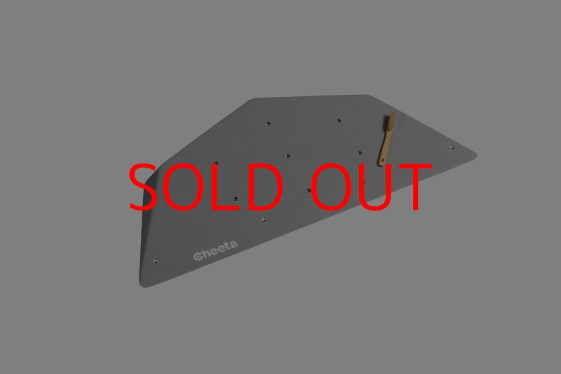 画像25: CT  Ball S1 (25)