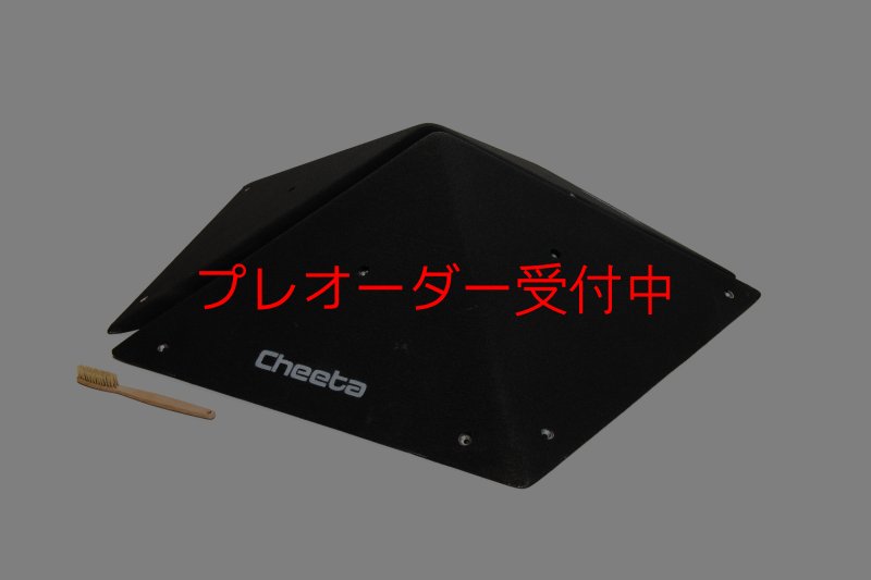 画像4: CT  Pentagon L/プレオーダー (4)