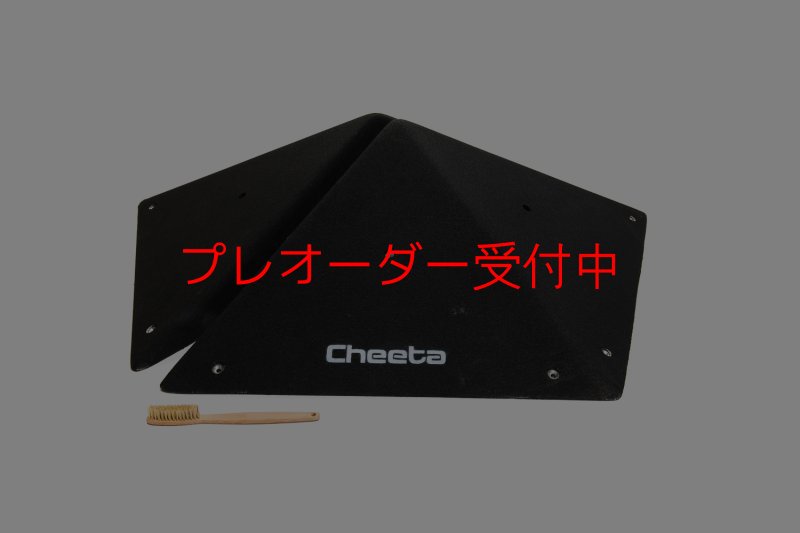 画像2: CT  Pentagon L/プレオーダー (2)