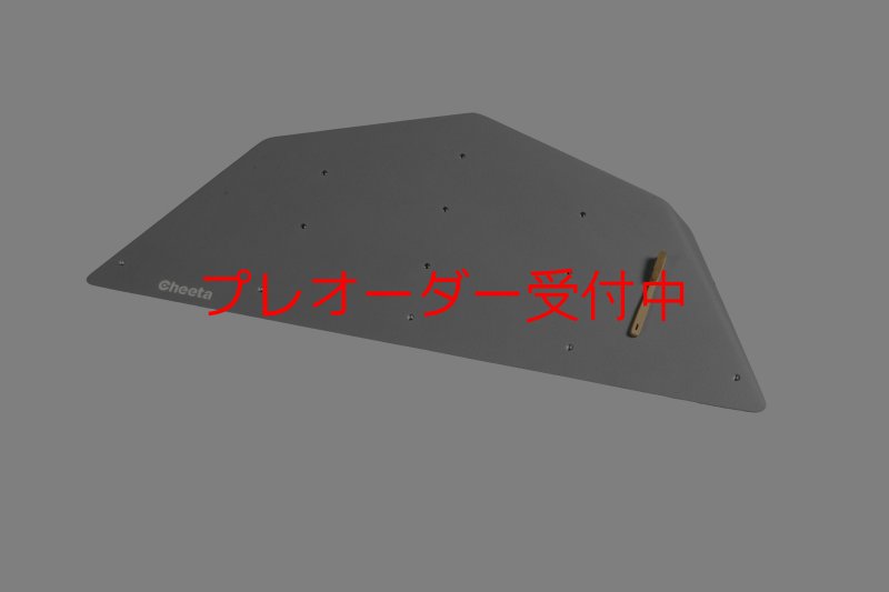 画像6: CT  Ball M1/プレオーダー (6)