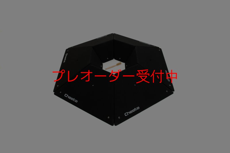 画像1: CT  Starwoods 5/プレオーダー (1)