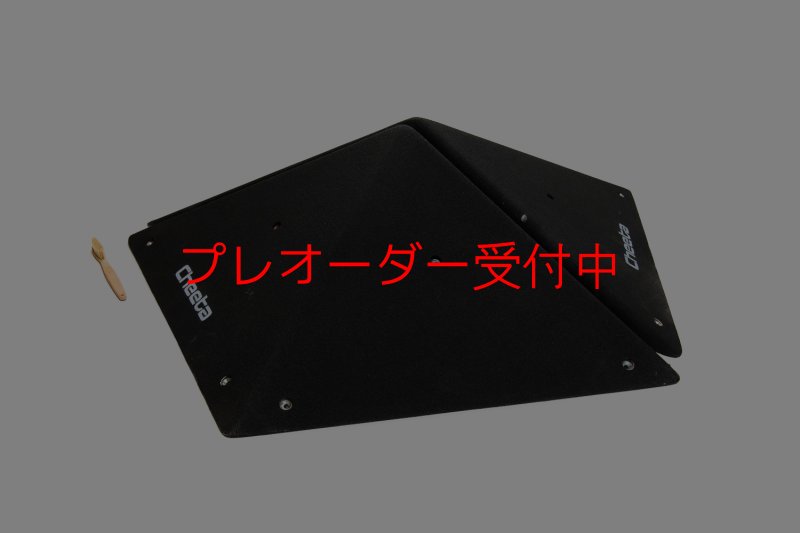 画像7: CT  Pentagon L/プレオーダー (7)