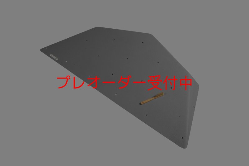画像1: CT  Ball L1/プレオーダー (1)