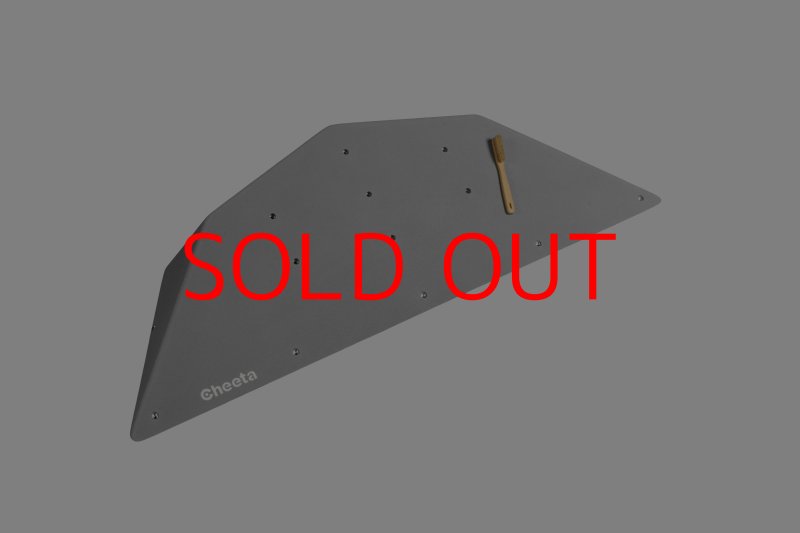 画像3: CT  Ball M2 (3)