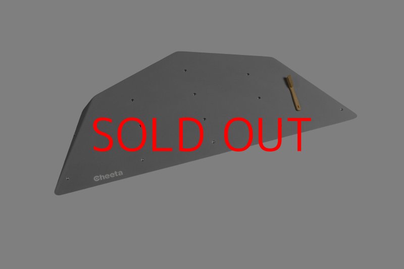 画像3: CT  Ball M1 (3)