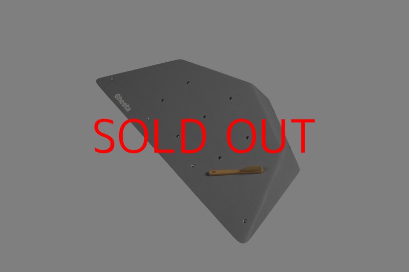 画像2: CT  Ball S1 (2)