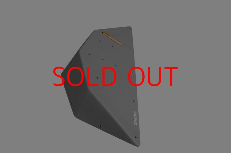 画像28: CT  Ball M2 (28)