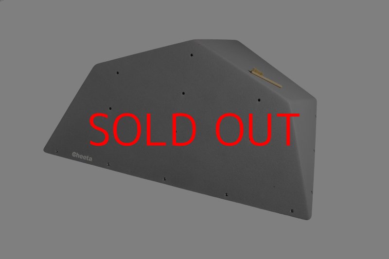 画像29: CT  Ball M5 (29)