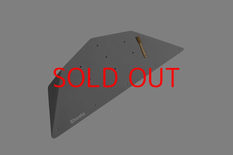 画像2: CT  Ball M2 (2)